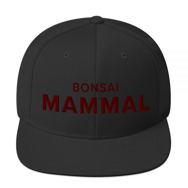 Bonsai Mammal Snapback Hat (Adult) – Black