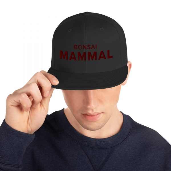 Bonsai Mammal Snapback Hat (Adult) – Black - Image 3