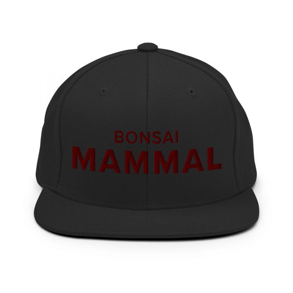 Bonsai Mammal Snapback Hat (Adult) – Black - Image 4